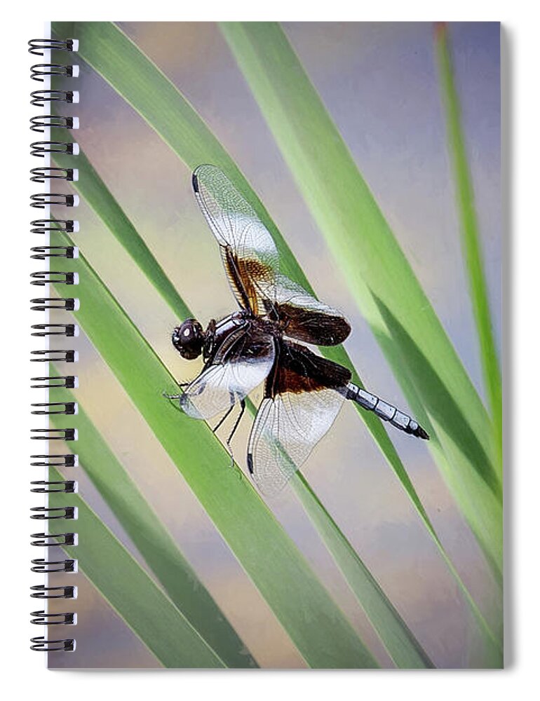 Nature Spiral Notebook featuring the photograph Widow Skimmer Among The Reeds by Sharon McConnell