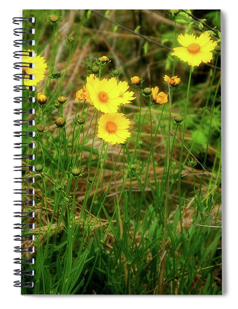 Wild Flowers Spiral Notebook featuring the photograph Wild Flowers by Joan Bertucci