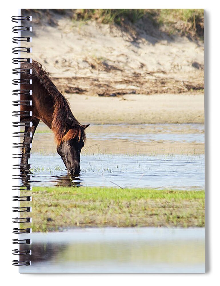 Wild Horse Spiral Notebook featuring the photograph Wild Mustang on Shackleford Banks by Bob Decker