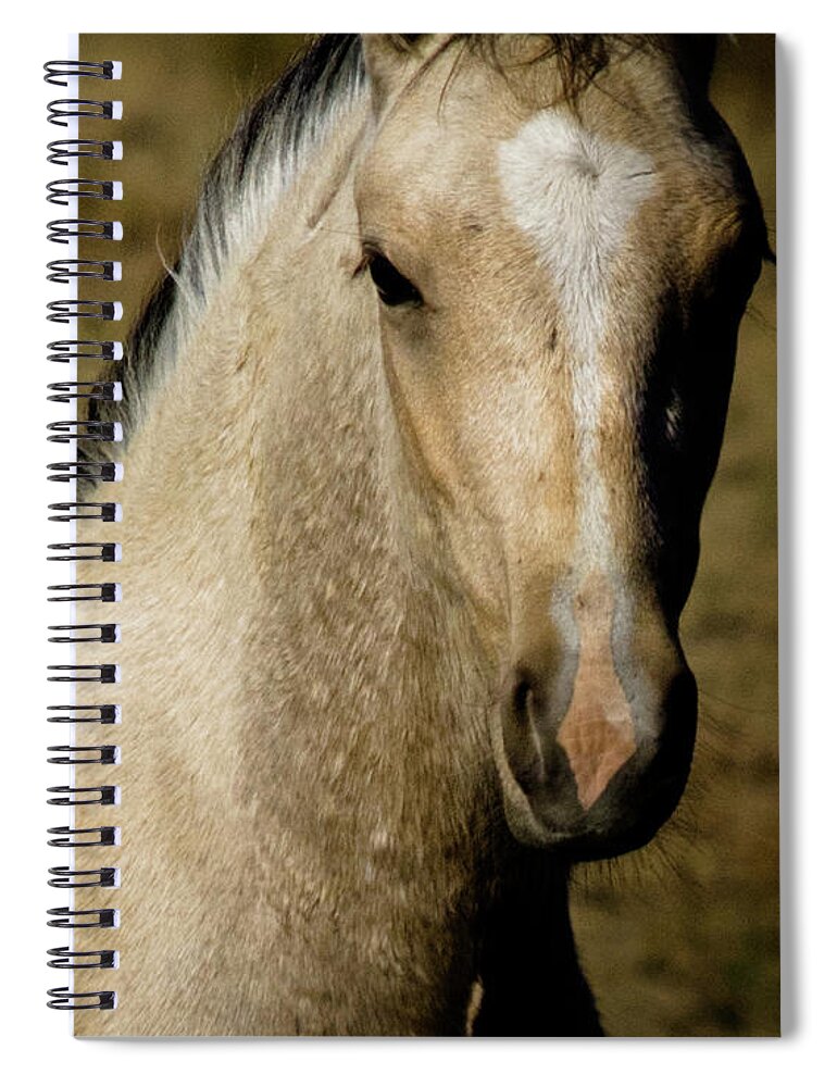 Andalusia Spiral Notebook featuring the photograph Wild Mustangs of New Mexico 5 by Catherine Sobredo