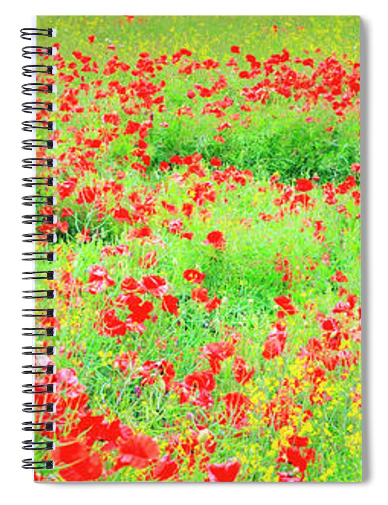 Scenics Spiral Notebook featuring the photograph Wild Poppies, Pembrokeshire, Wales by Chris Ladd
