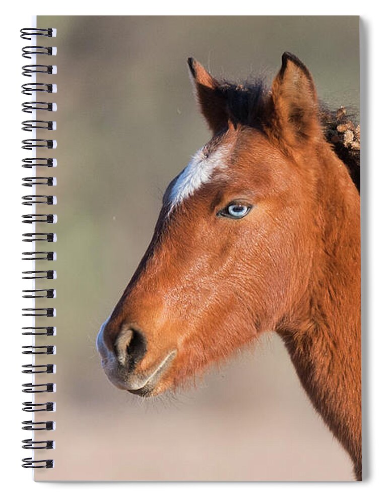 Blue Eye Spiral Notebook featuring the photograph Wild Portrait by Shannon Hastings