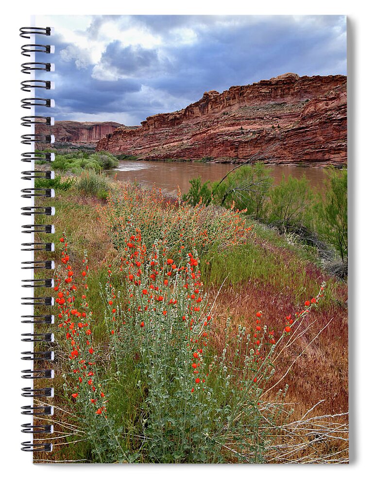 Highway 128 Spiral Notebook featuring the photograph Wildflowers along Colorado River and Highway 128 by Ray Mathis