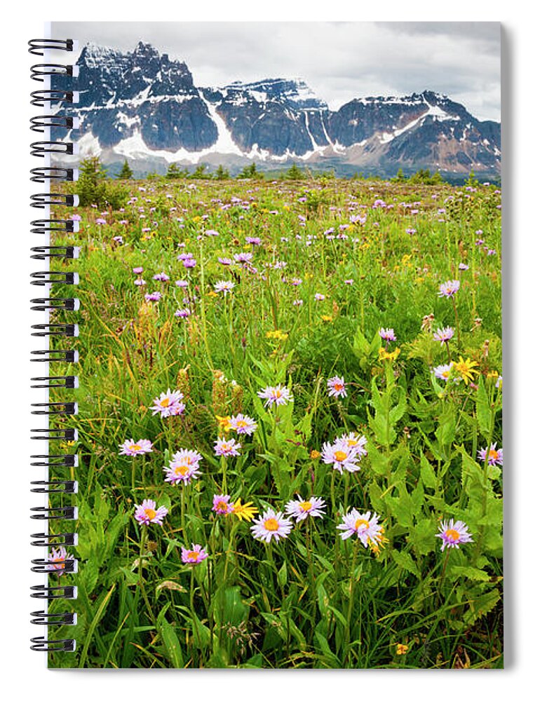 Grass Family Spiral Notebook featuring the photograph Wildflowers, Jasper National Park by Mint Images/ Art Wolfe