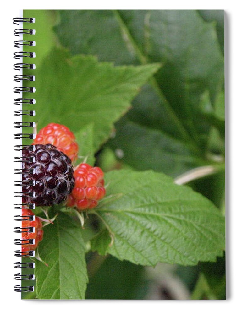 Berry Spiral Notebook featuring the photograph Wildly Fruity by Jeffrey Peterson