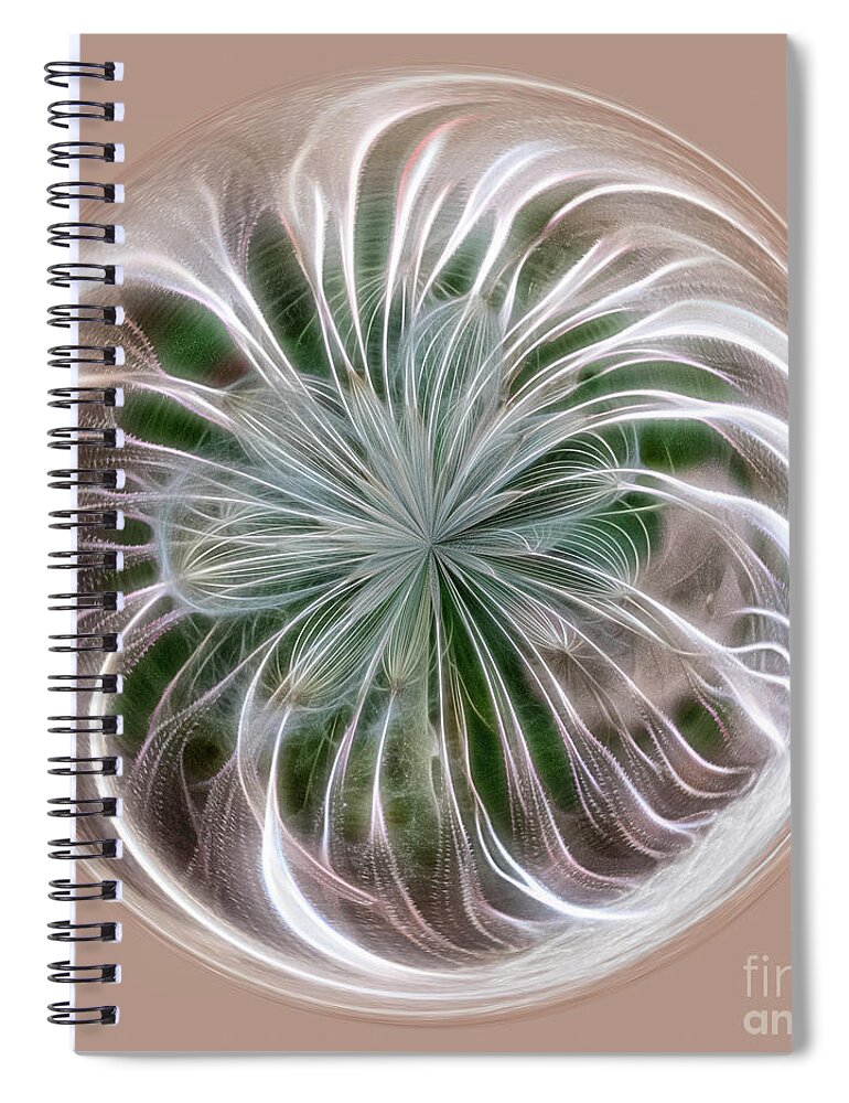 Orb Spiral Notebook featuring the photograph Willow Org by Phillip Rubino