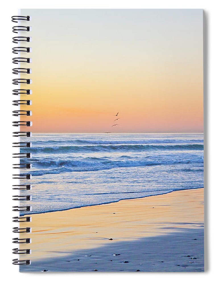 California Beach Spiral Notebook featuring the photograph Wind n Sea Bird Flight at Sunset by Catherine Walters