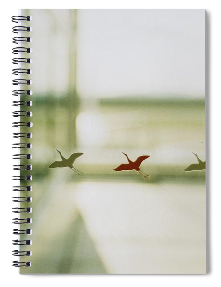 Five Objects Spiral Notebook featuring the photograph Window by Kaochan madeleine