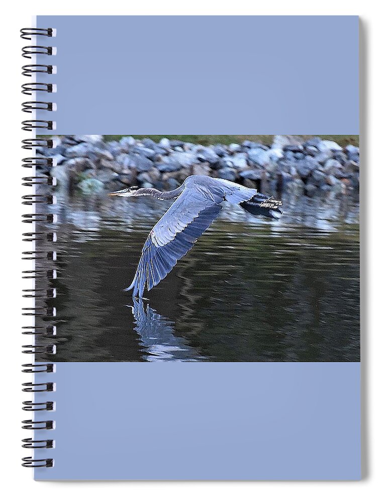 Great Blue Heron Spiral Notebook featuring the photograph Wing Touching Water by Kim Bemis