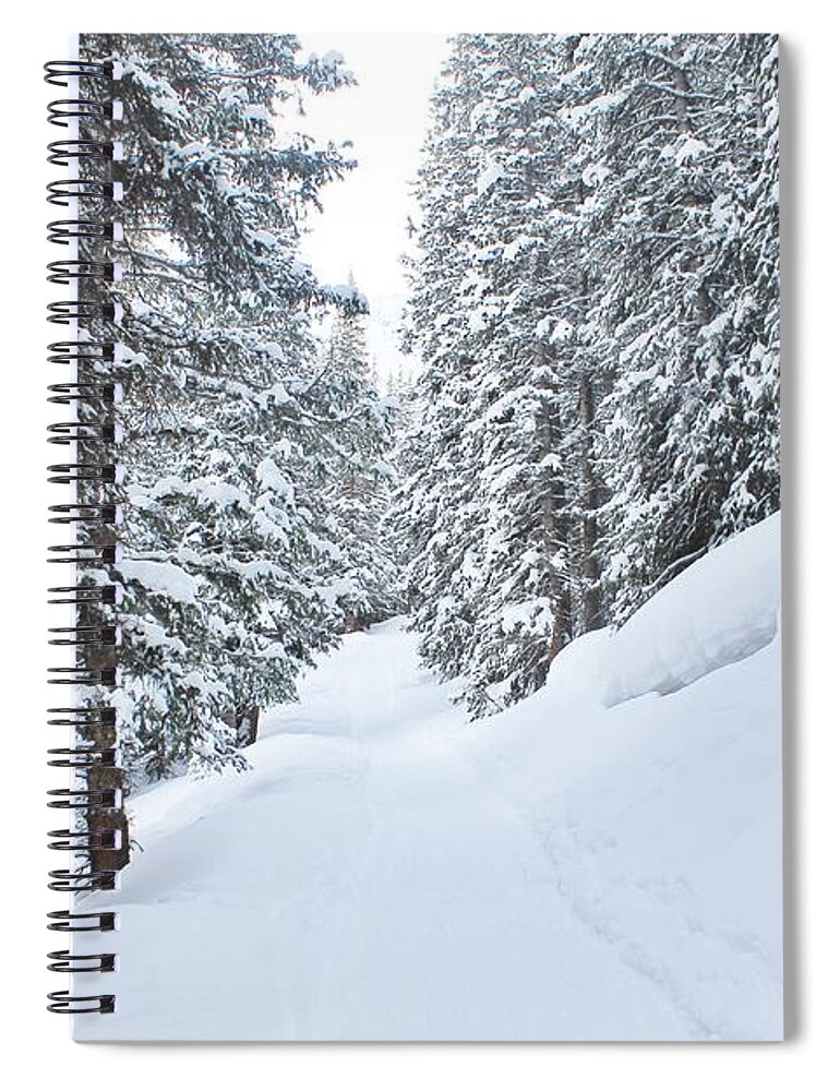Nature Spiral Notebook featuring the photograph Winter 2 by Tonya Hance