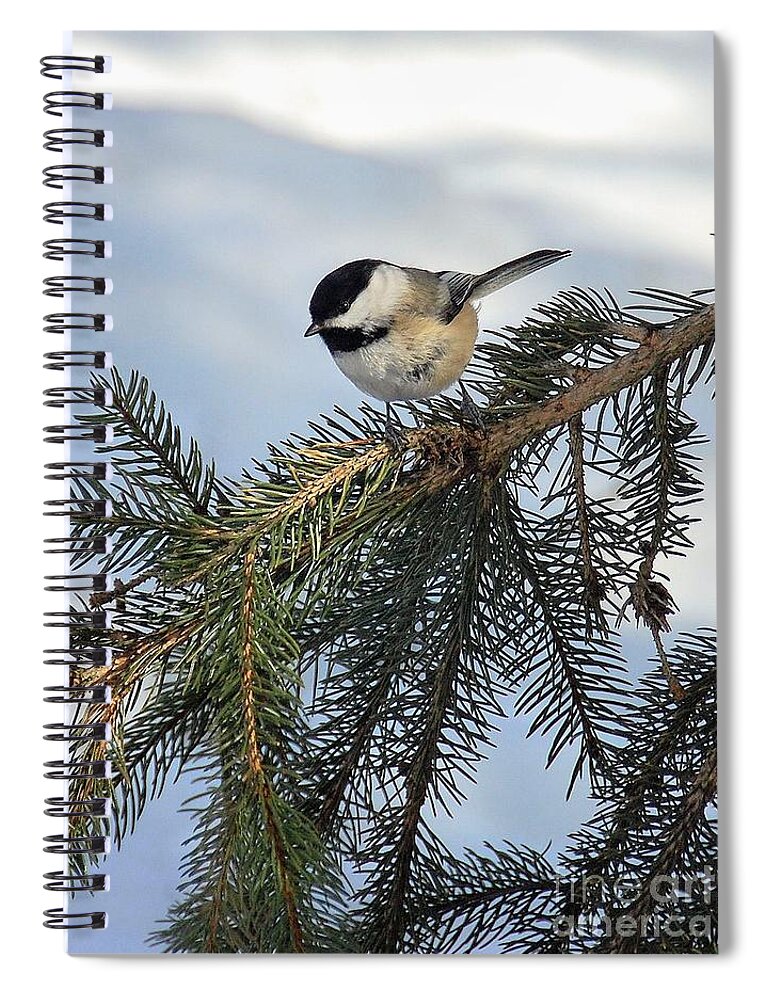  Spiral Notebook featuring the photograph Winter Chickadee by Elaine Manley