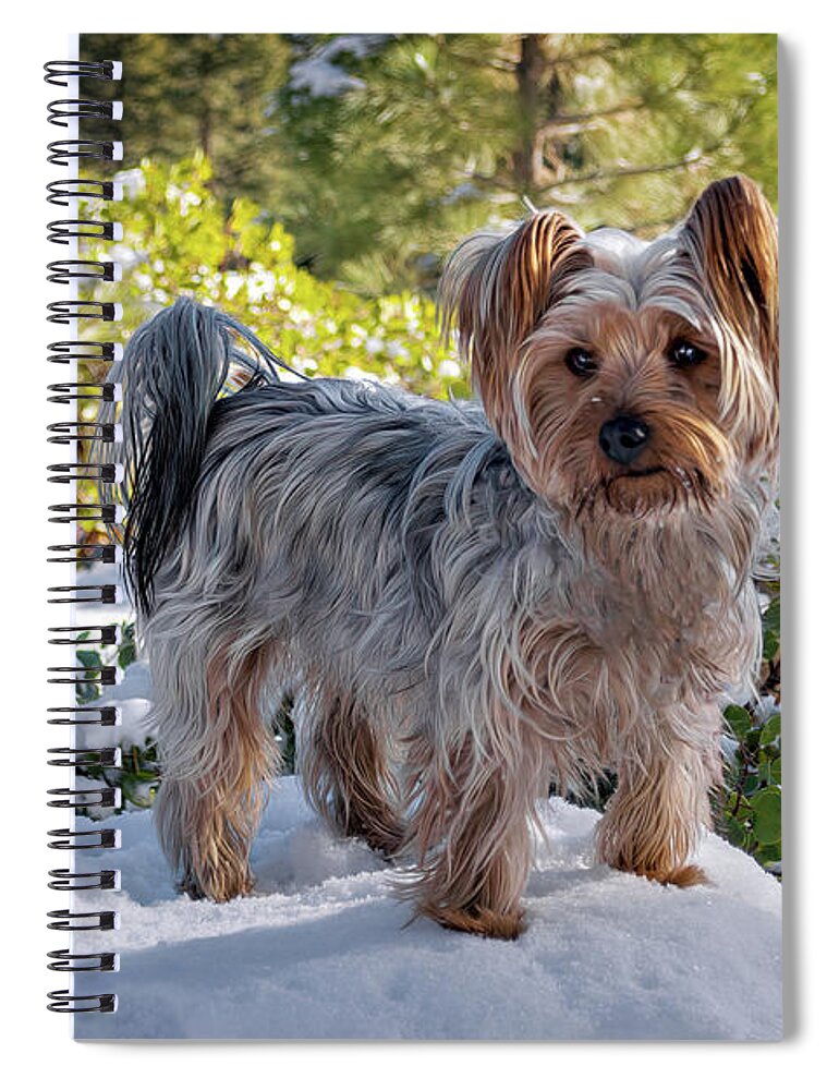 Animal Spiral Notebook featuring the photograph Winter Coat by Maria Coulson