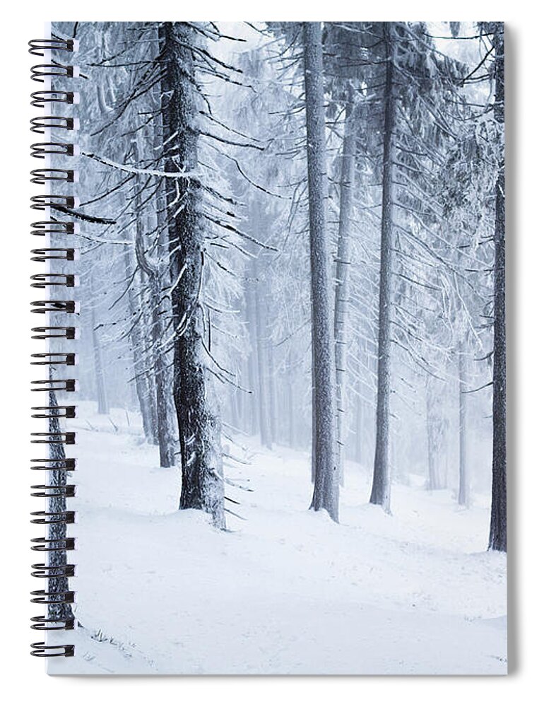 Scenics Spiral Notebook featuring the photograph Winter In Wood by Yourapechkin