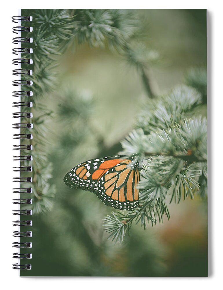 Pine Spiral Notebook featuring the photograph Winter Monarch by Michelle Wermuth