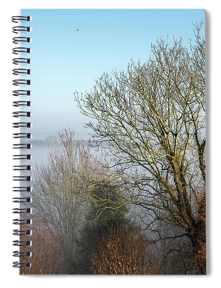 Shenington Spiral Notebook featuring the photograph Winter morning trees by Mark Hunter