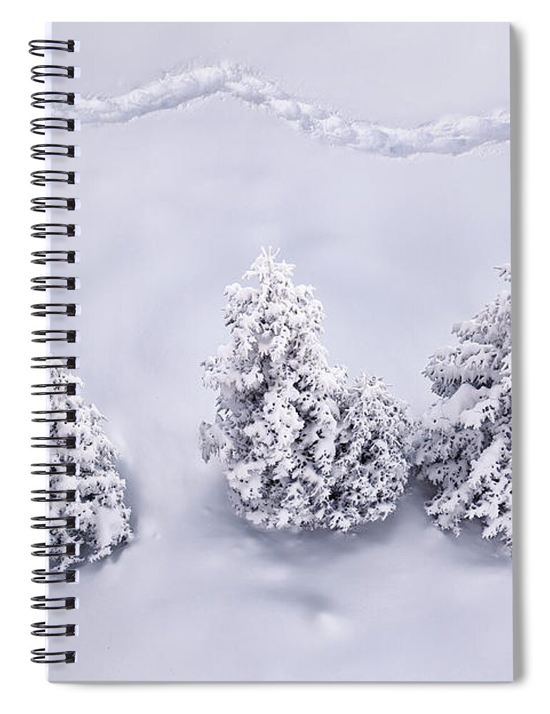 Scenics Spiral Notebook featuring the photograph Winter Path by Borchee