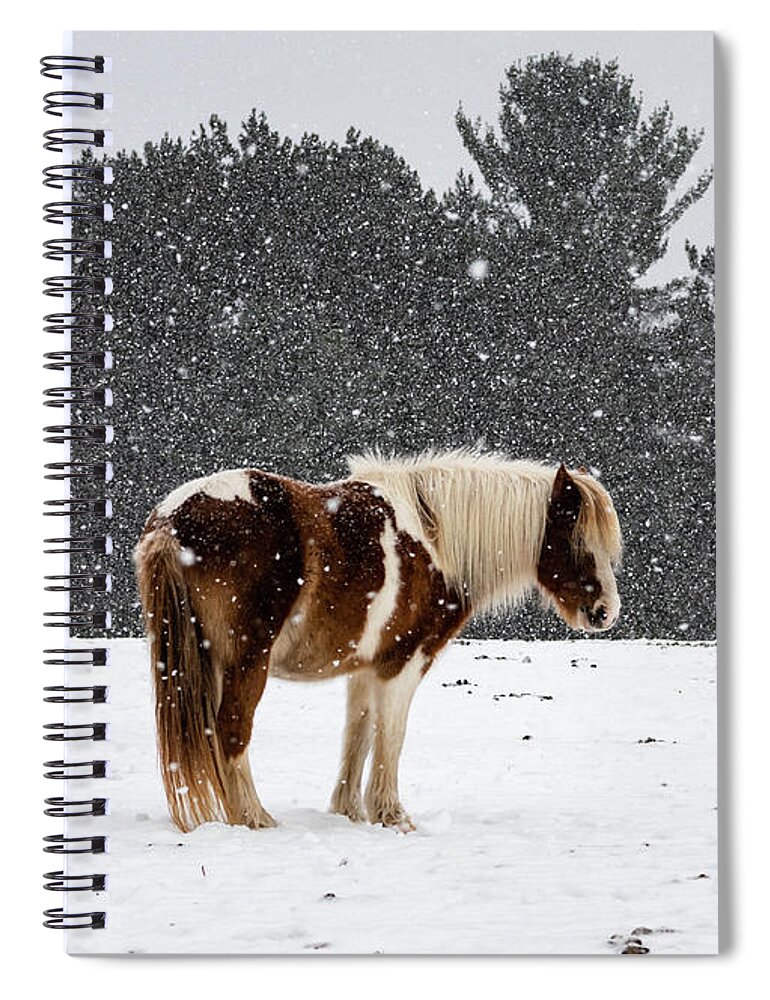 Horse Spiral Notebook featuring the photograph Winter Snows by Jody Partin