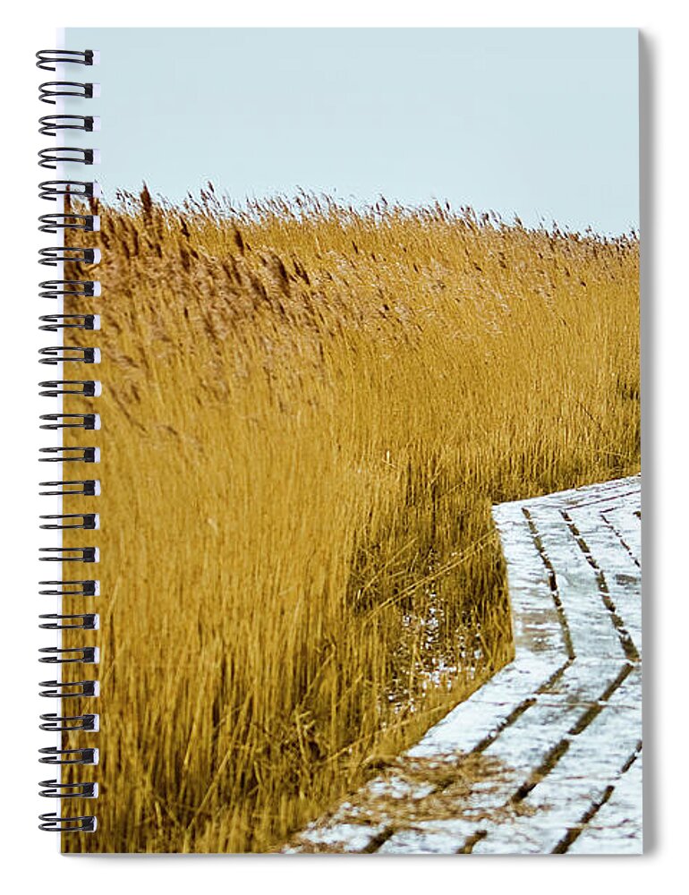 Grass Spiral Notebook featuring the photograph Winter Zzz by Cristina Corduneanu