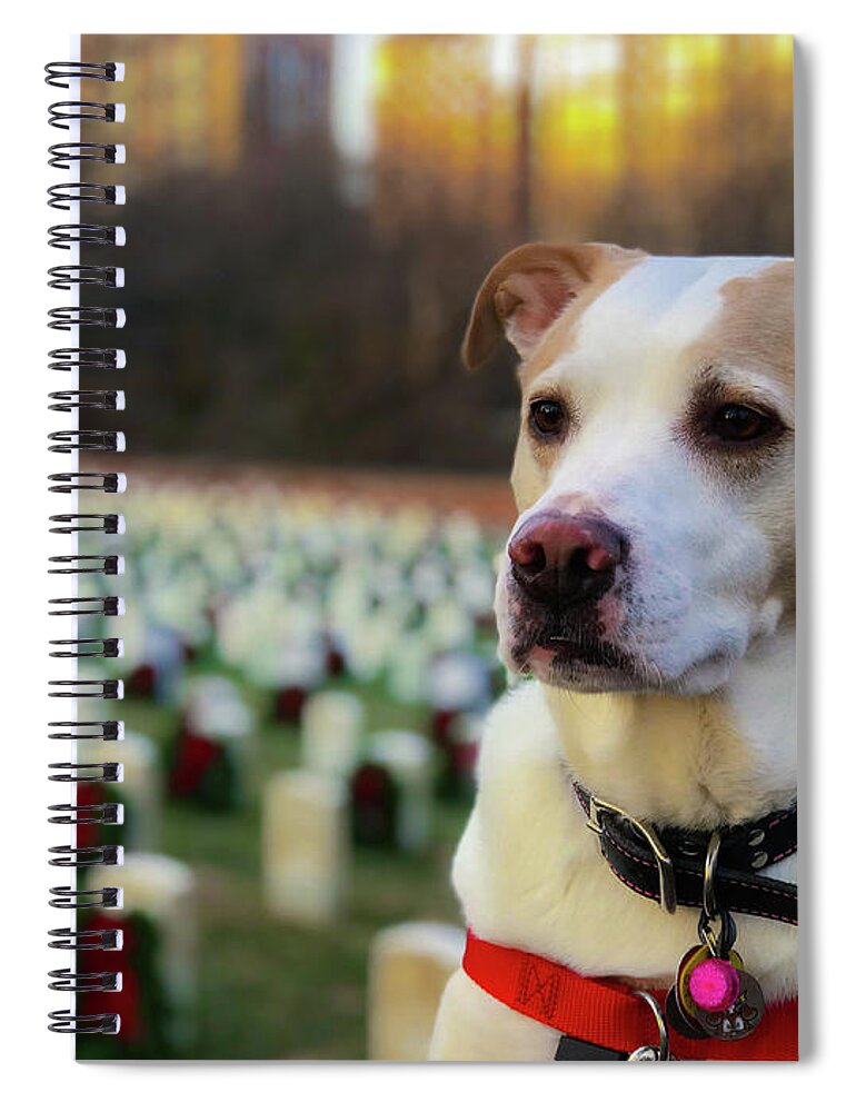 Dog Spiral Notebook featuring the photograph With Respect by Lora J Wilson