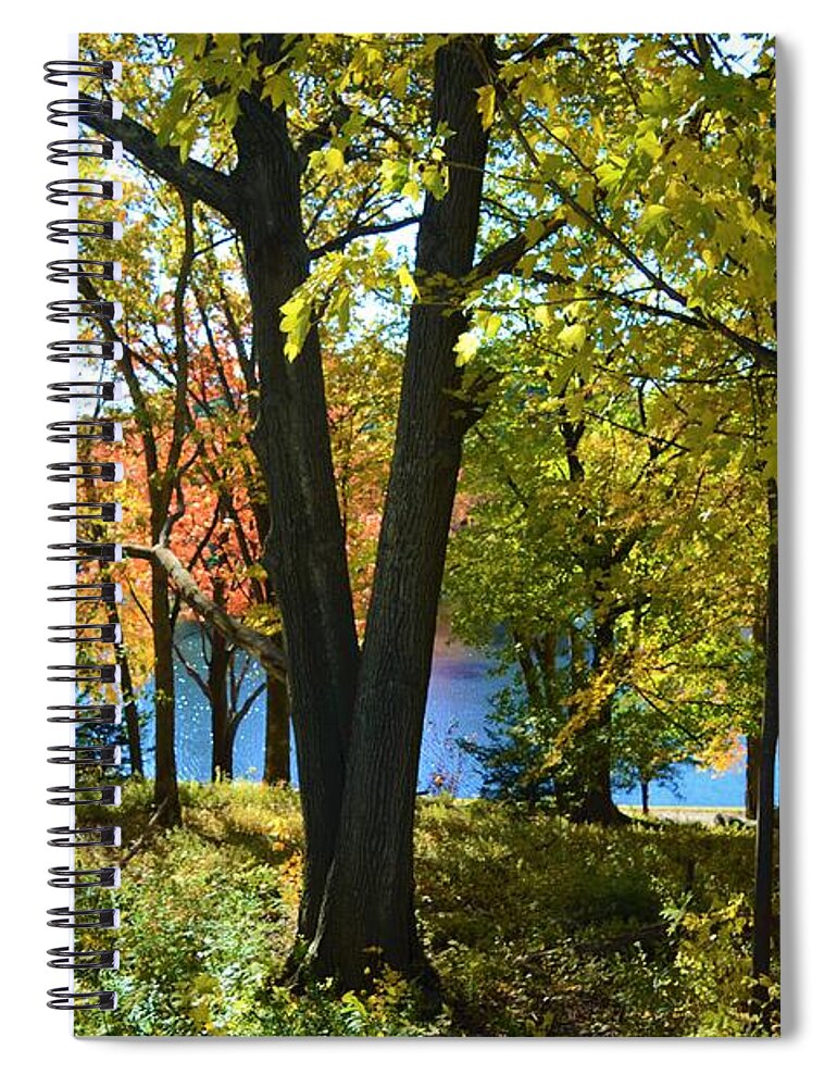 Trees Spiral Notebook featuring the photograph With Trees and Water by Dani McEvoy