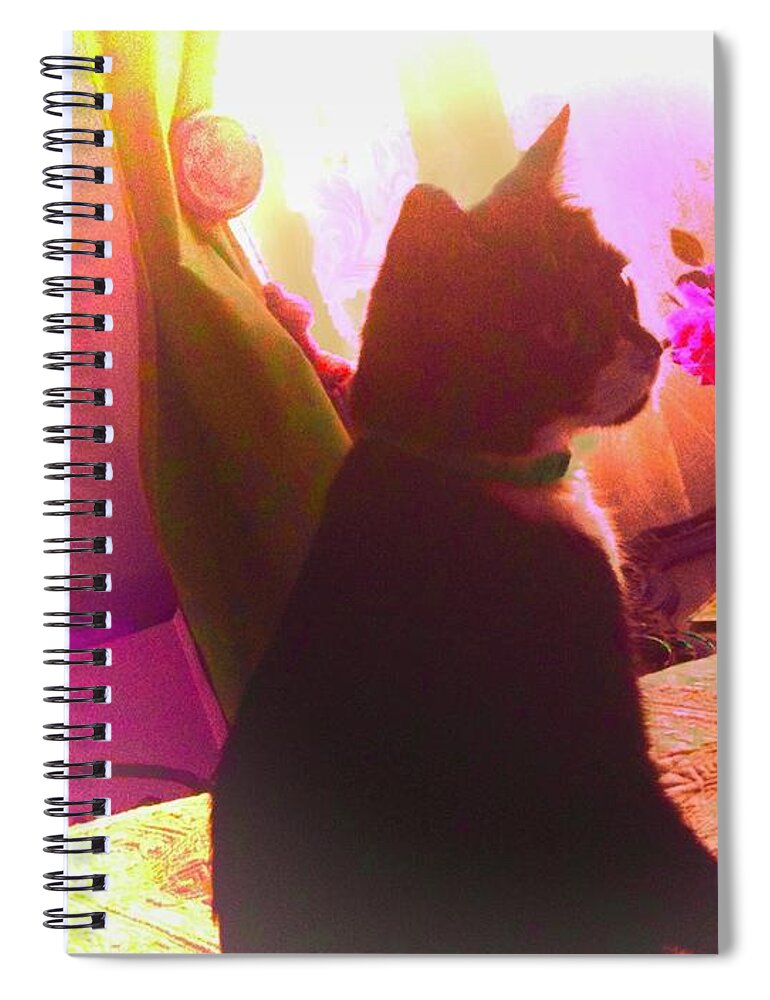 Cat Spiral Notebook featuring the photograph Wondering by Debra Grace Addison