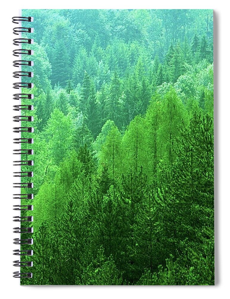 Scenics Spiral Notebook featuring the photograph Woodland by Kodachrome25
