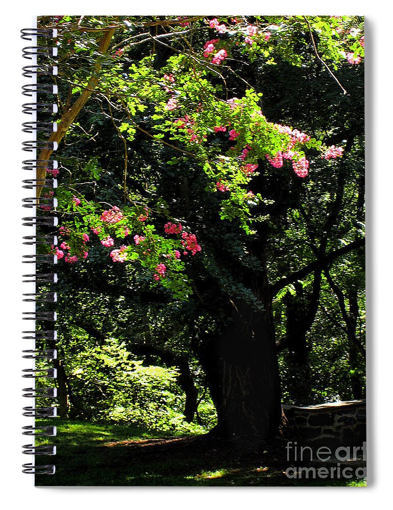 Summer Spiral Notebook featuring the photograph Woodland Serenity No.2 by Steve Ember