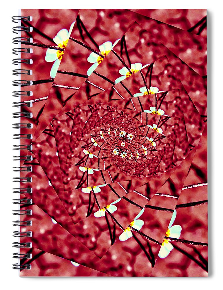 Arizona Spiral Notebook featuring the photograph Woolly Daisy Spiral by Judy Kennedy
