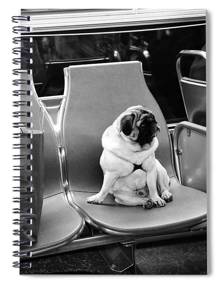 Street Photography Spiral Notebook featuring the photograph Working Like A Dog by J C
