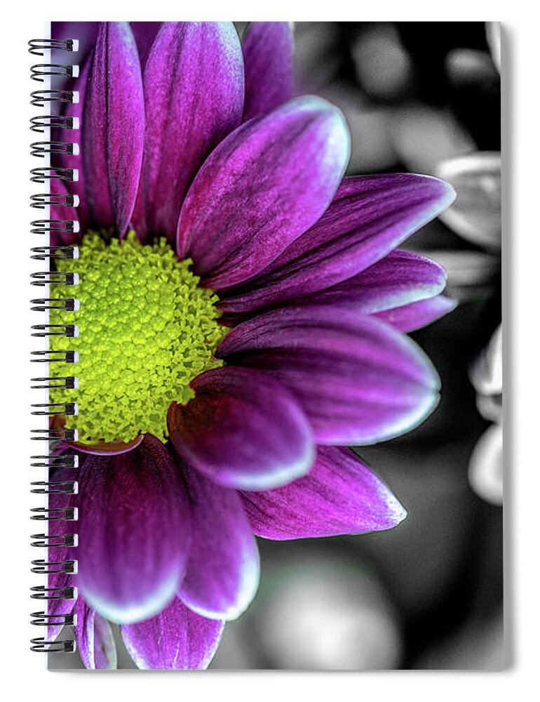 Black And White Spiral Notebook featuring the photograph World's Apart by Wild Fotos
