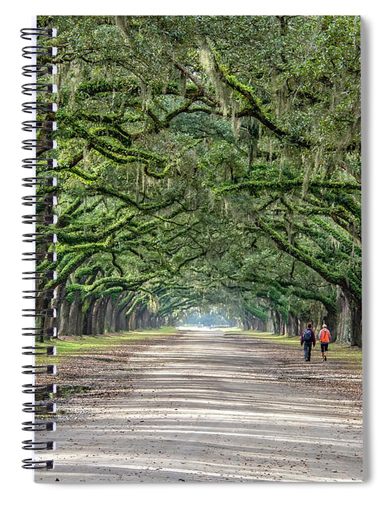 Savannah Spiral Notebook featuring the photograph Wormsloe Wandering by Douglas Wielfaert