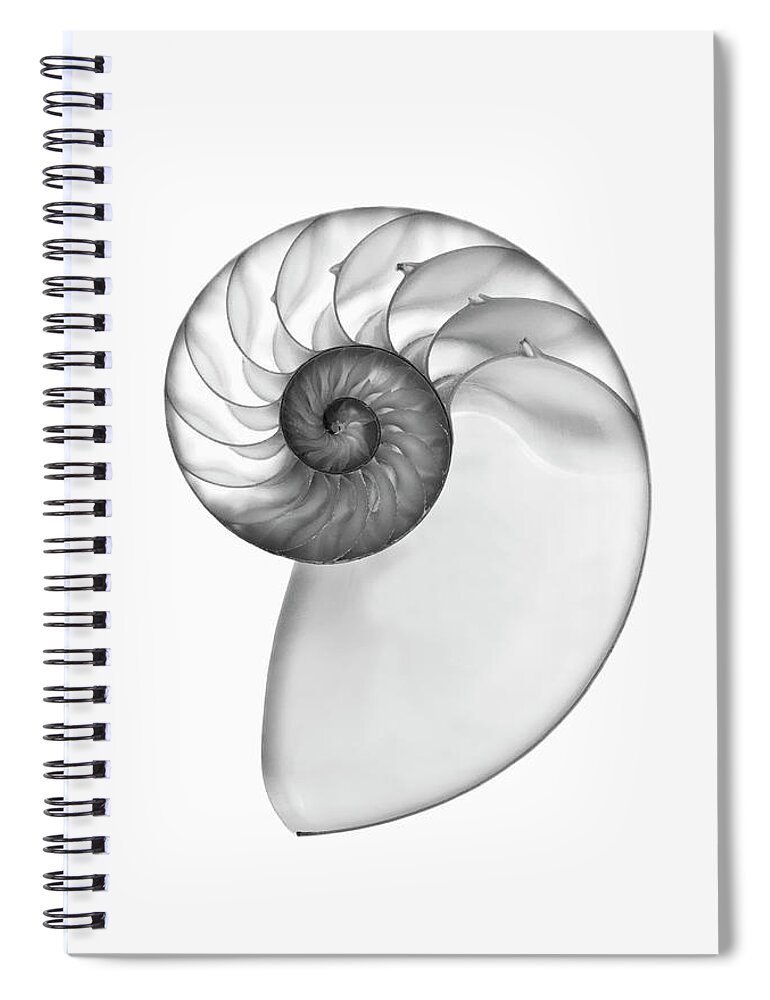 White Background Spiral Notebook featuring the photograph X Ray Of A Nautilus Shell Cross Section by Mike Hill