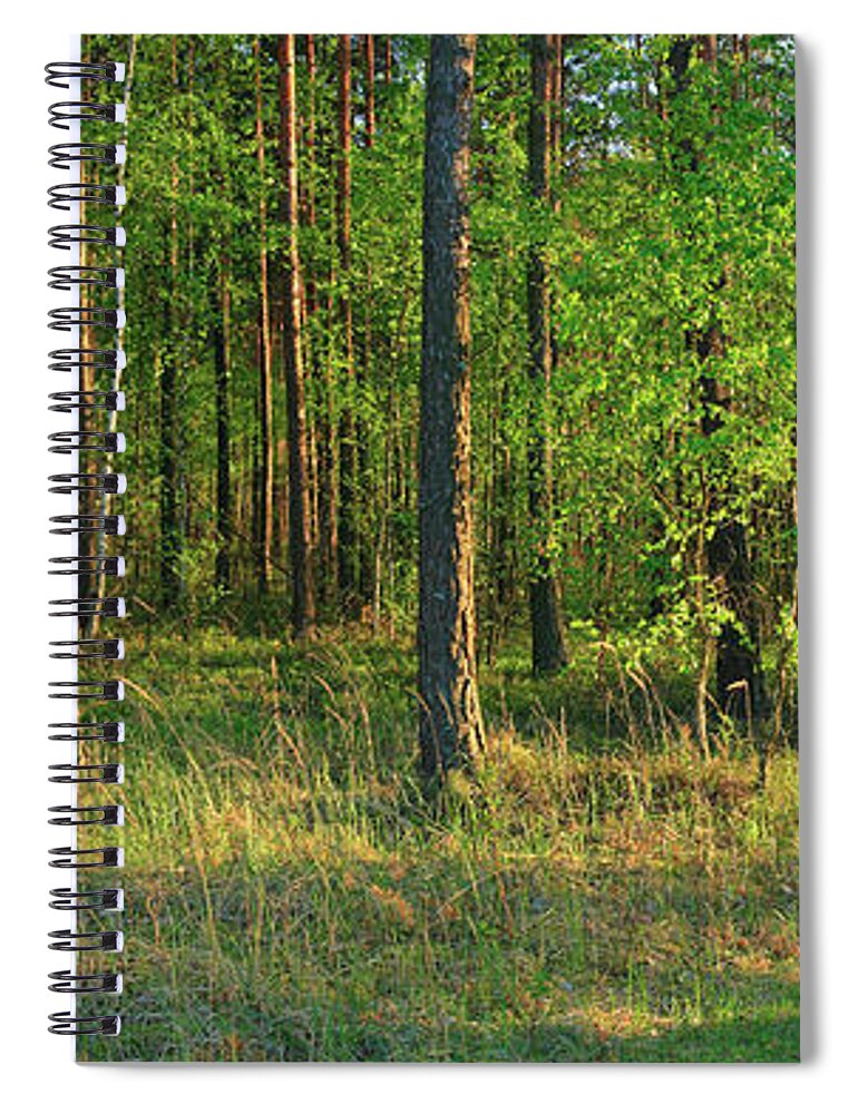 Scenics Spiral Notebook featuring the photograph Xxxl Green Forest - Panorama by Konradlew
