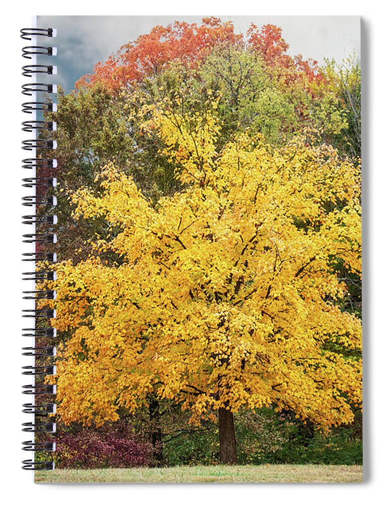 Yellow Leaves Spiral Notebook featuring the photograph Yellow Autumn by Ed Taylor