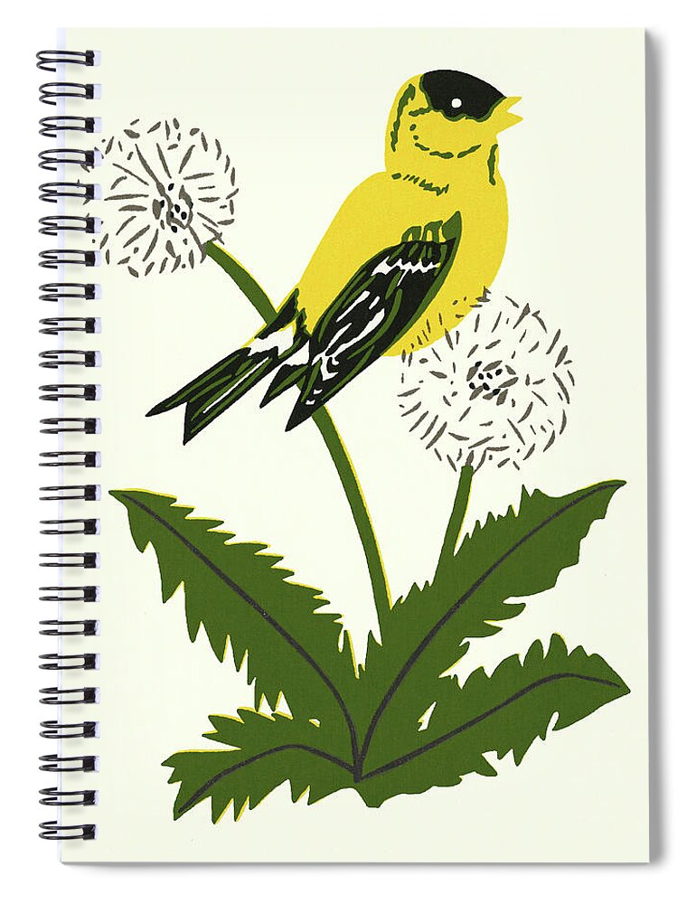 Animal Spiral Notebook featuring the drawing Yellow Canary Perched on a Dandelion by CSA Images