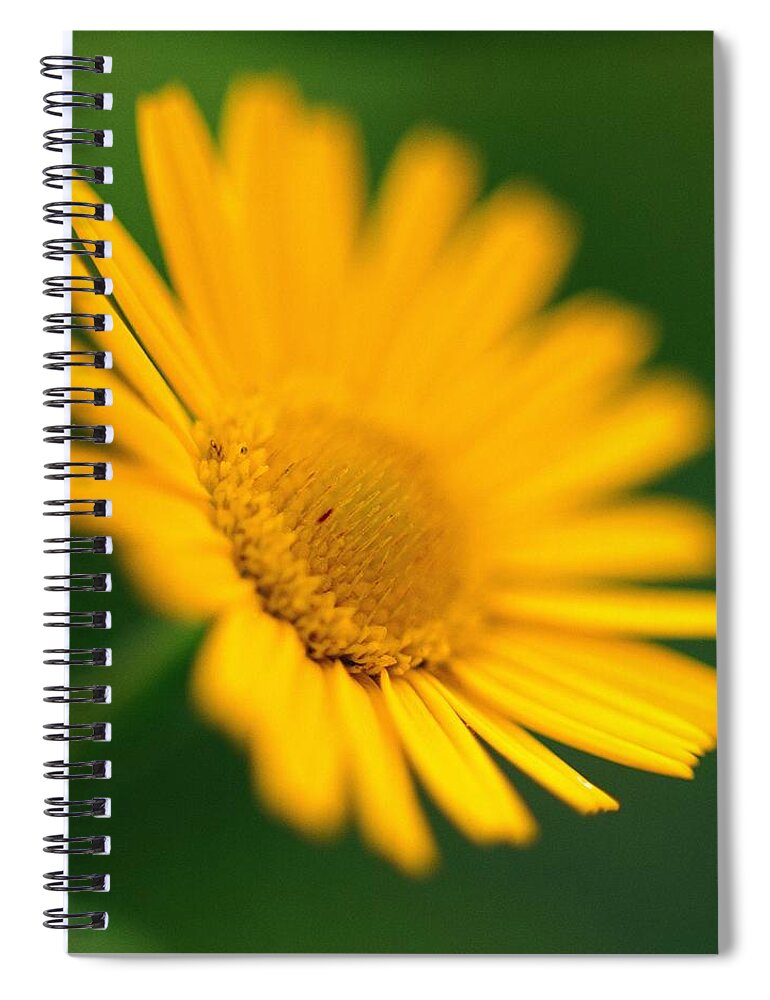 Estock Spiral Notebook featuring the digital art Yellow Dandelion Flower by Olimpio Fantuz