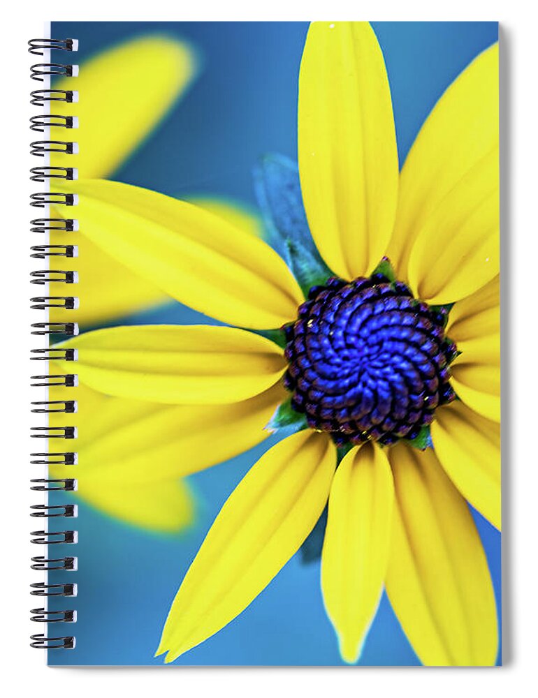 Blue Spiral Notebook featuring the photograph Nature Photography - Colorful Flowers by Amelia Pearn
