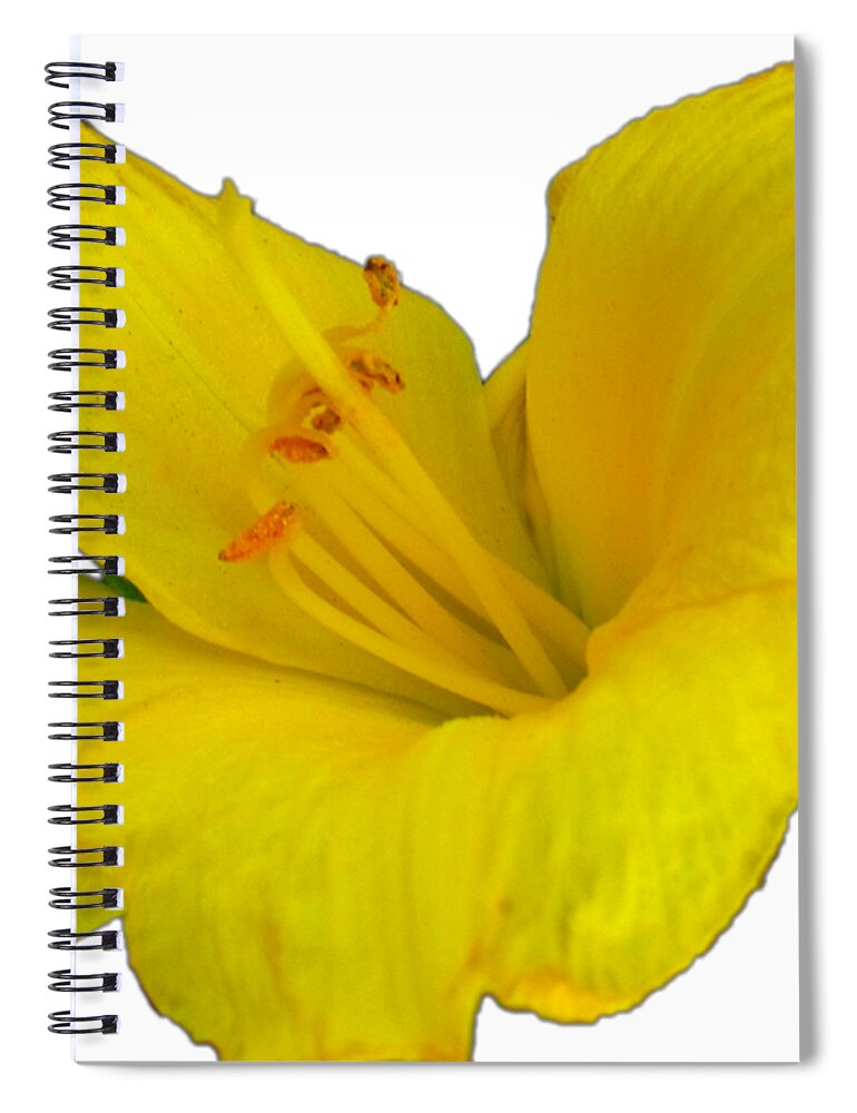 Yellow Spiral Notebook featuring the photograph Yellow Lily Flower Photograph Best for Shirts by Delynn Addams