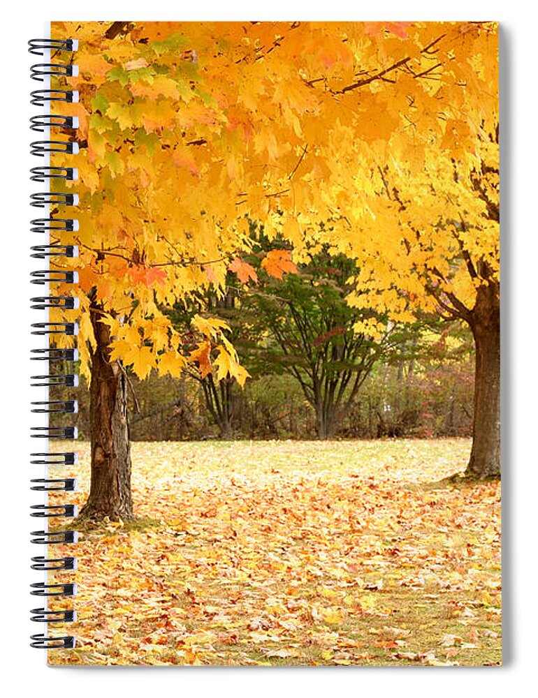 Orange Color Spiral Notebook featuring the photograph Yellow Of The Fall by Frankysze