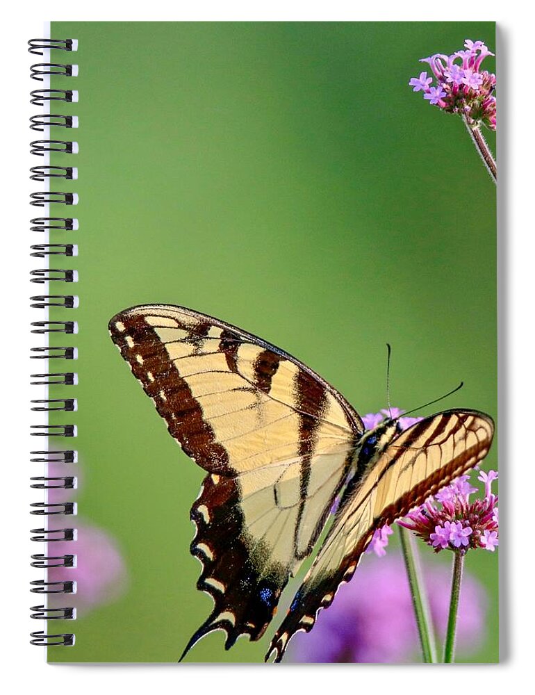 Butterfly Spiral Notebook featuring the photograph Yellow Swallowtail by Susan Rydberg