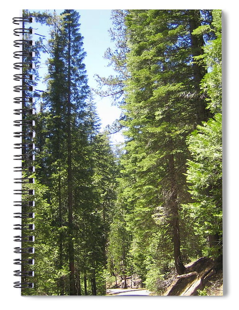 Yosemite Spiral Notebook featuring the photograph Yosemite National Park Looking at Row After Row of Beautiful Trees Along the Road by John Shiron
