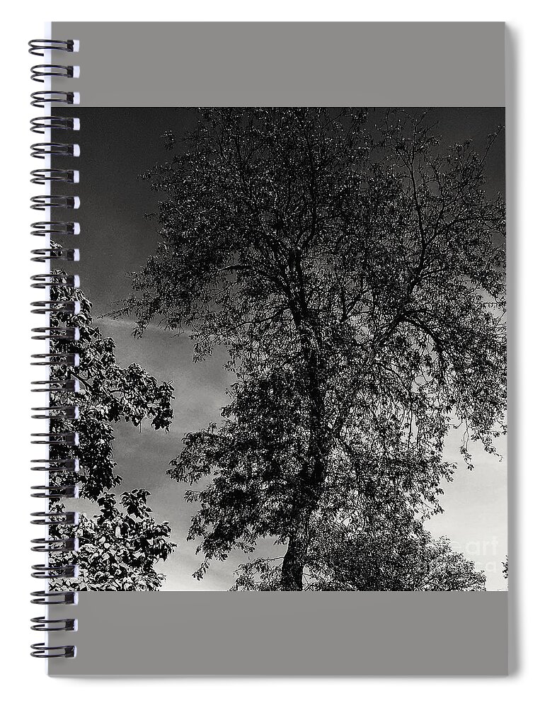 Black And White Spiral Notebook featuring the photograph You Shall Love Your Neighbor As Yourself by Frank J Casella