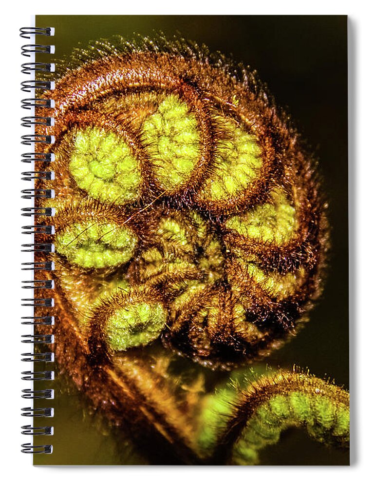 Fern Spiral Notebook featuring the photograph Young fern leaves by Lyl Dil Creations