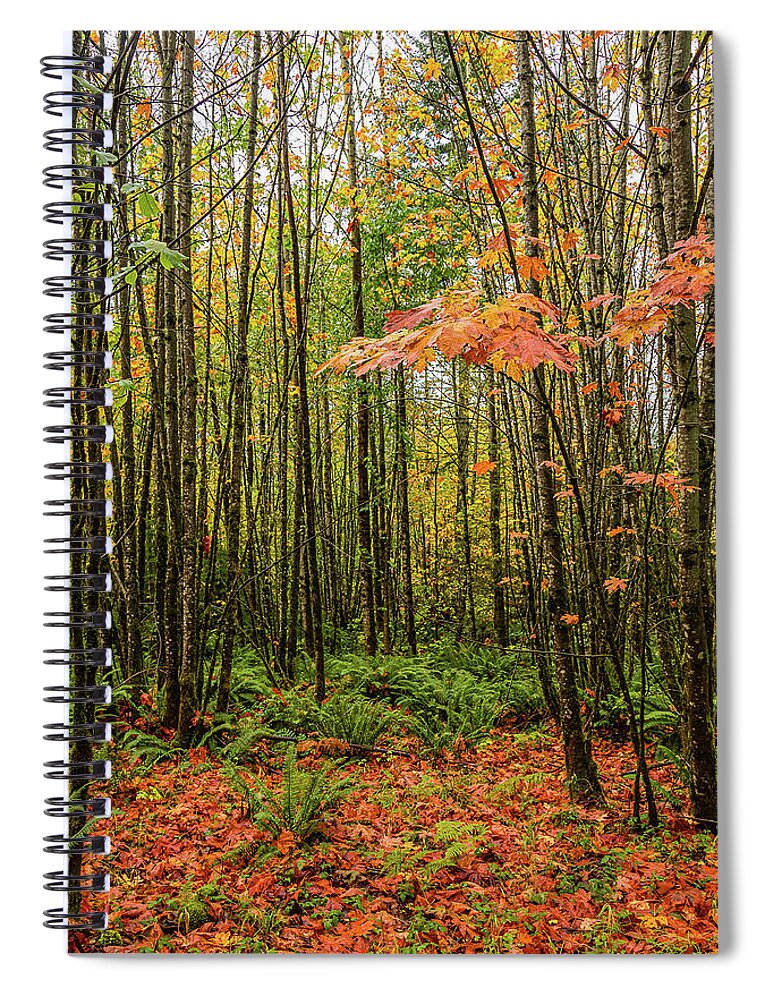 Landscapes Spiral Notebook featuring the photograph Young Maples by Claude Dalley