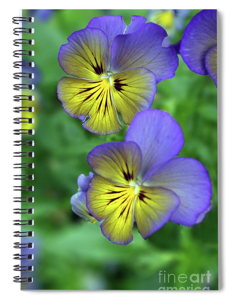 Pansy Spiral Notebook featuring the photograph You're So Pansy by Carol Eliassen