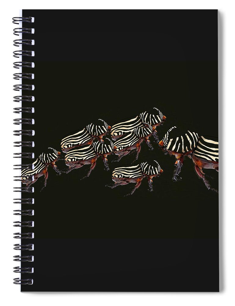 Rhinoceros Beetle Spiral Notebook featuring the drawing Zebra Pattern Rhinoceros Beetle 3 by Joan Stratton