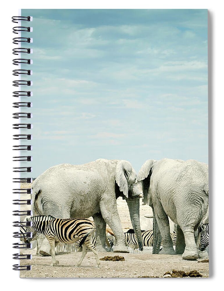 Plains Zebra Spiral Notebook featuring the photograph Zebras And African Elephants In Etosha by Brytta
