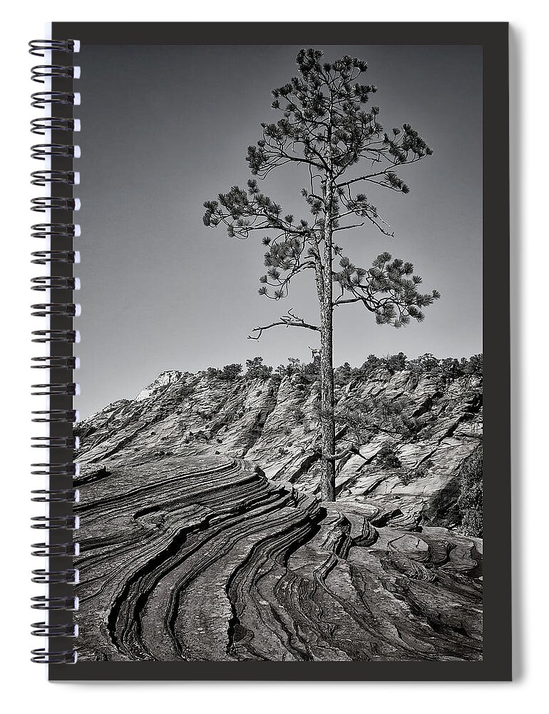 Utah Spiral Notebook featuring the photograph Zion Tree by Phil Cardamone