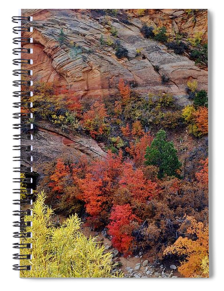 Fall Colors Spiral Notebook featuring the photograph Zion Vibrancy by Janet Marie
