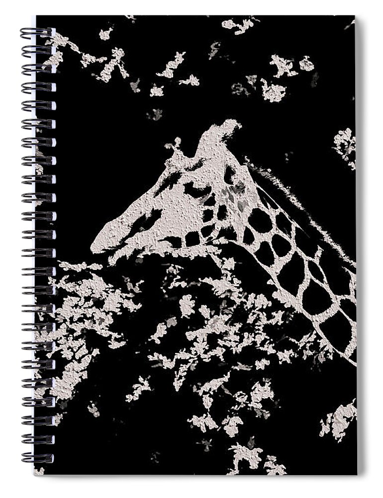 Giraffe Spiral Notebook featuring the photograph Zoo Art - Giraffe by Kerri Farley
